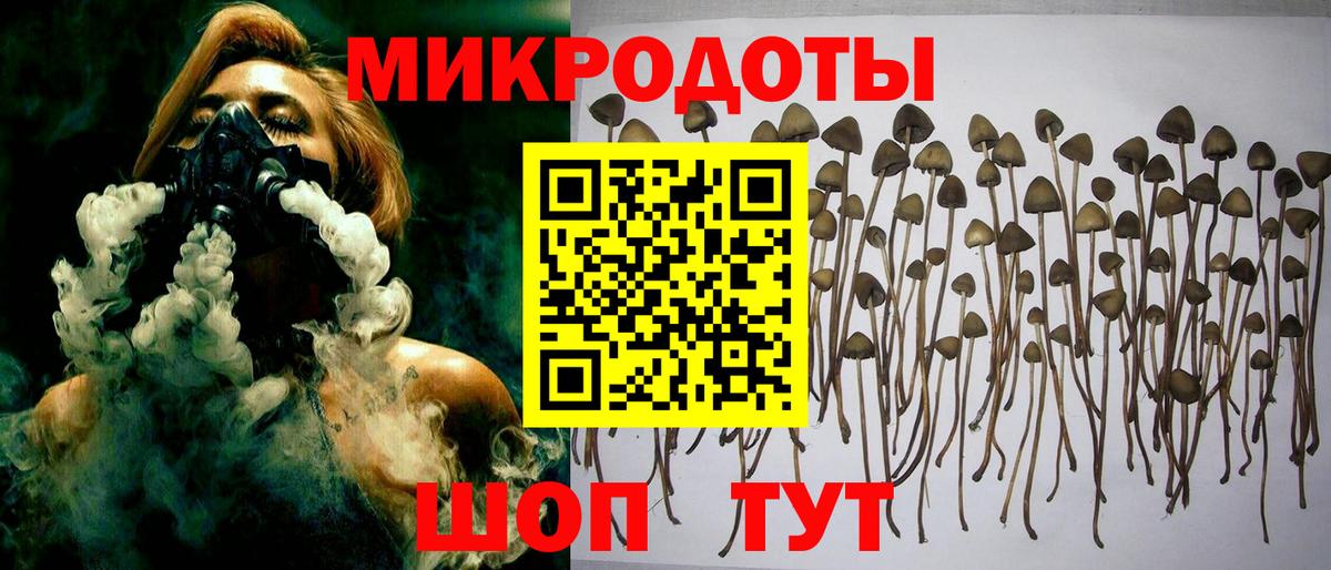 Галлюциногенные грибы мицелий Нововоронеж