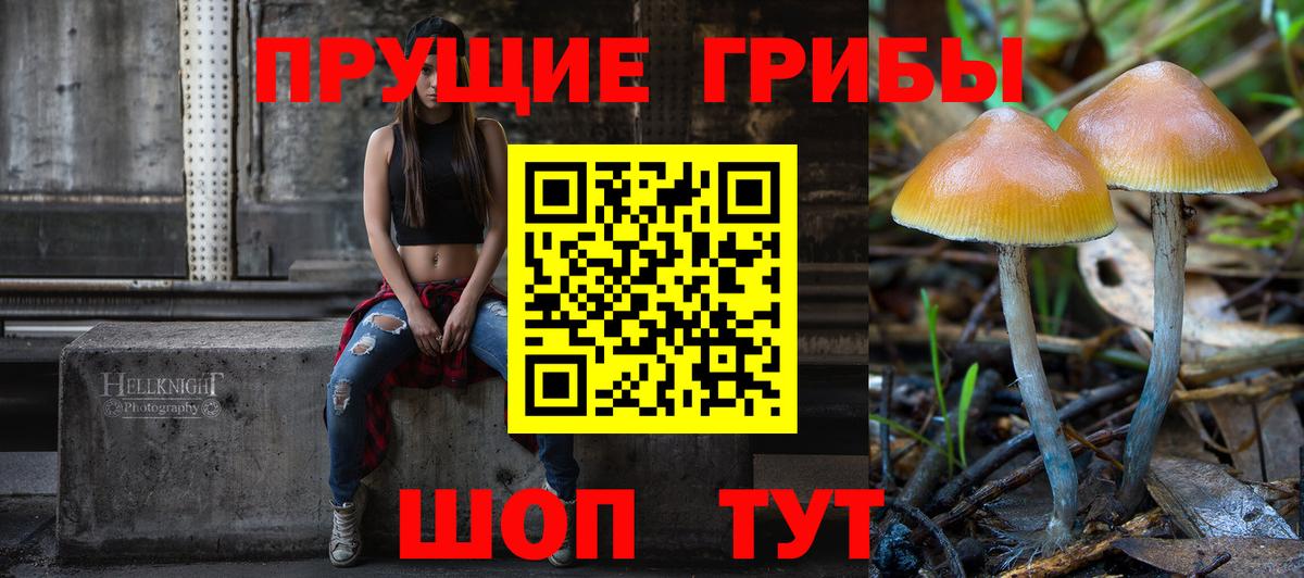 Нововоронеж  Галлюциногенные грибы Psilocybe  Вход с VPN  Псилоцибиновые грибы GOLDEN TEACHER 
